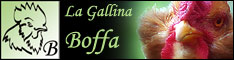 Gallinaboffa.com